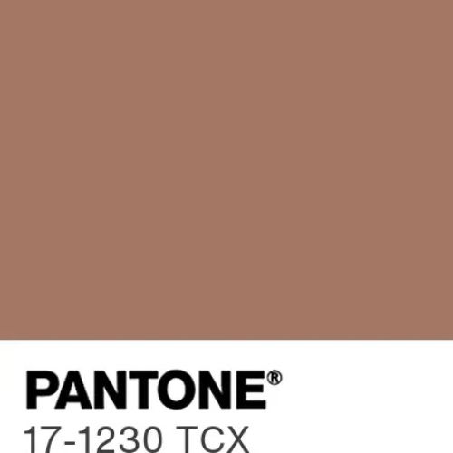 2025 Pantone Colour Mocha Mousse Swatch